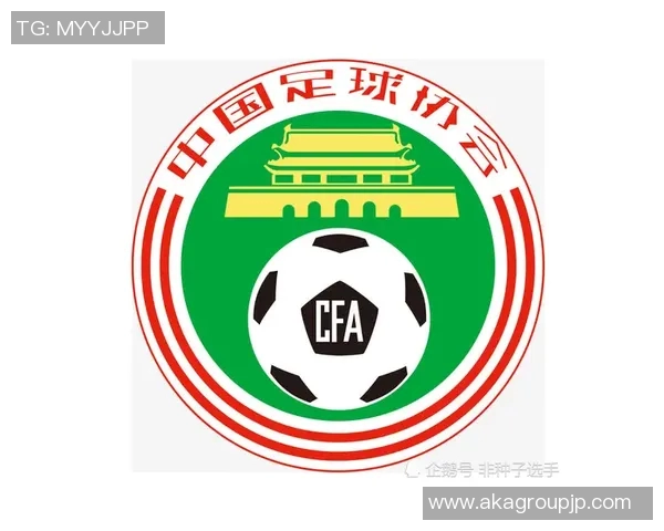 中国足协何玺的改革之路与中国足球未来发展展望